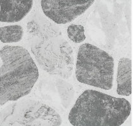 EXTERIOR MEDELLIN GRIS	